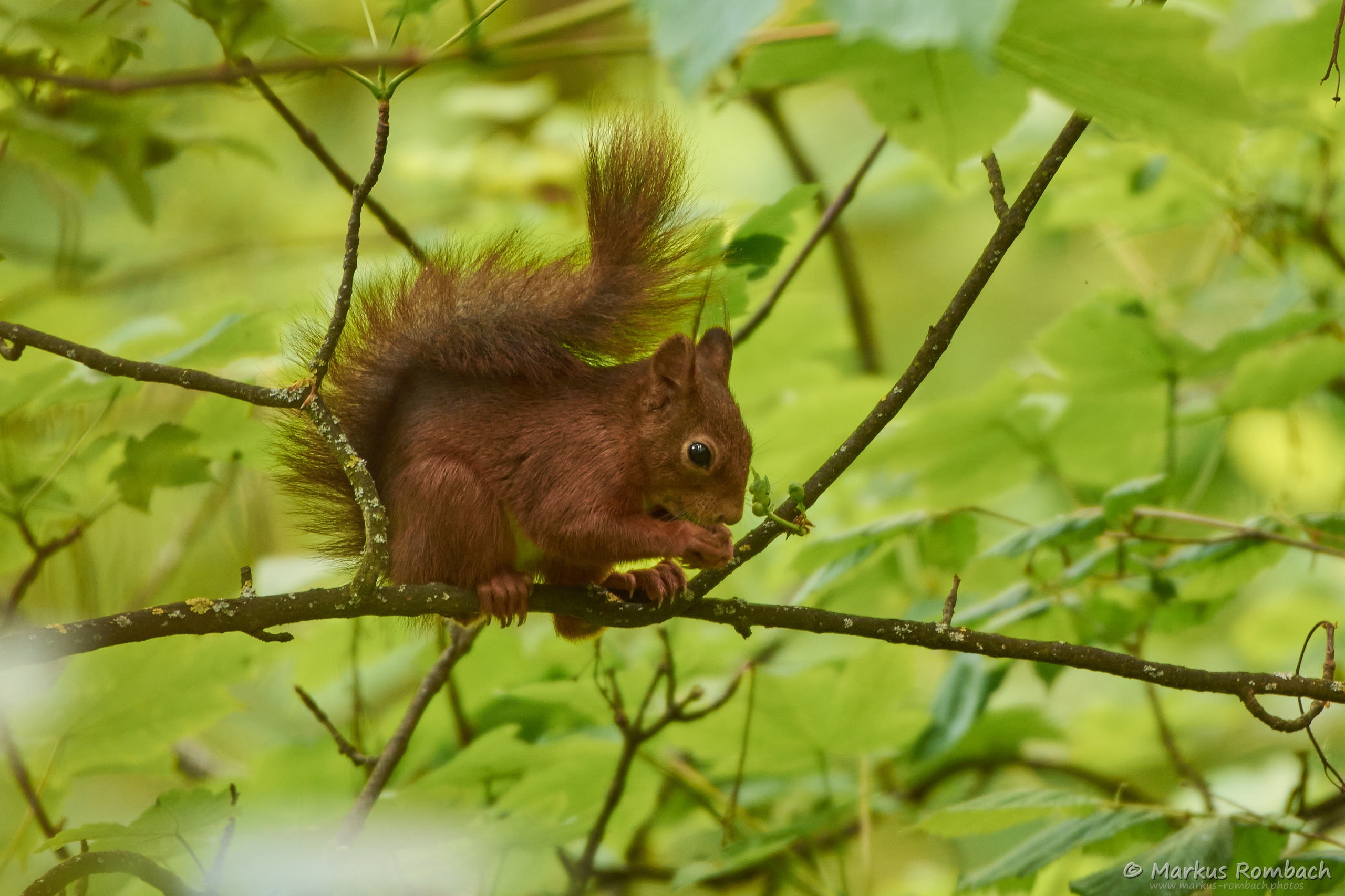 ERst mal was knabbern