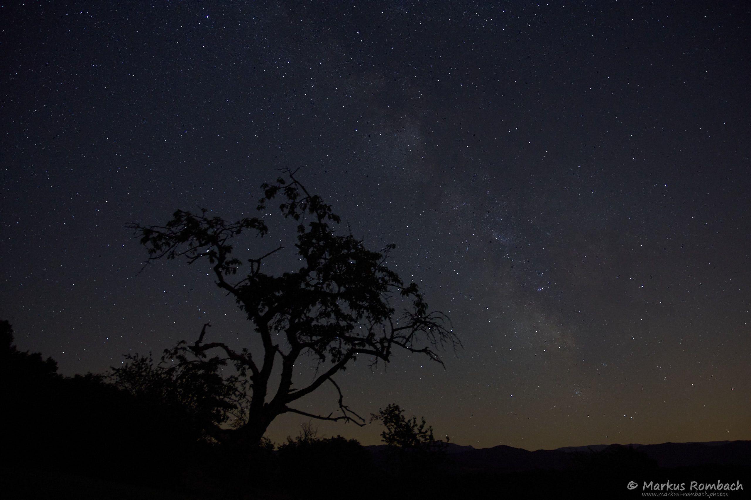 Milchstraße auf der Streuobstwiese