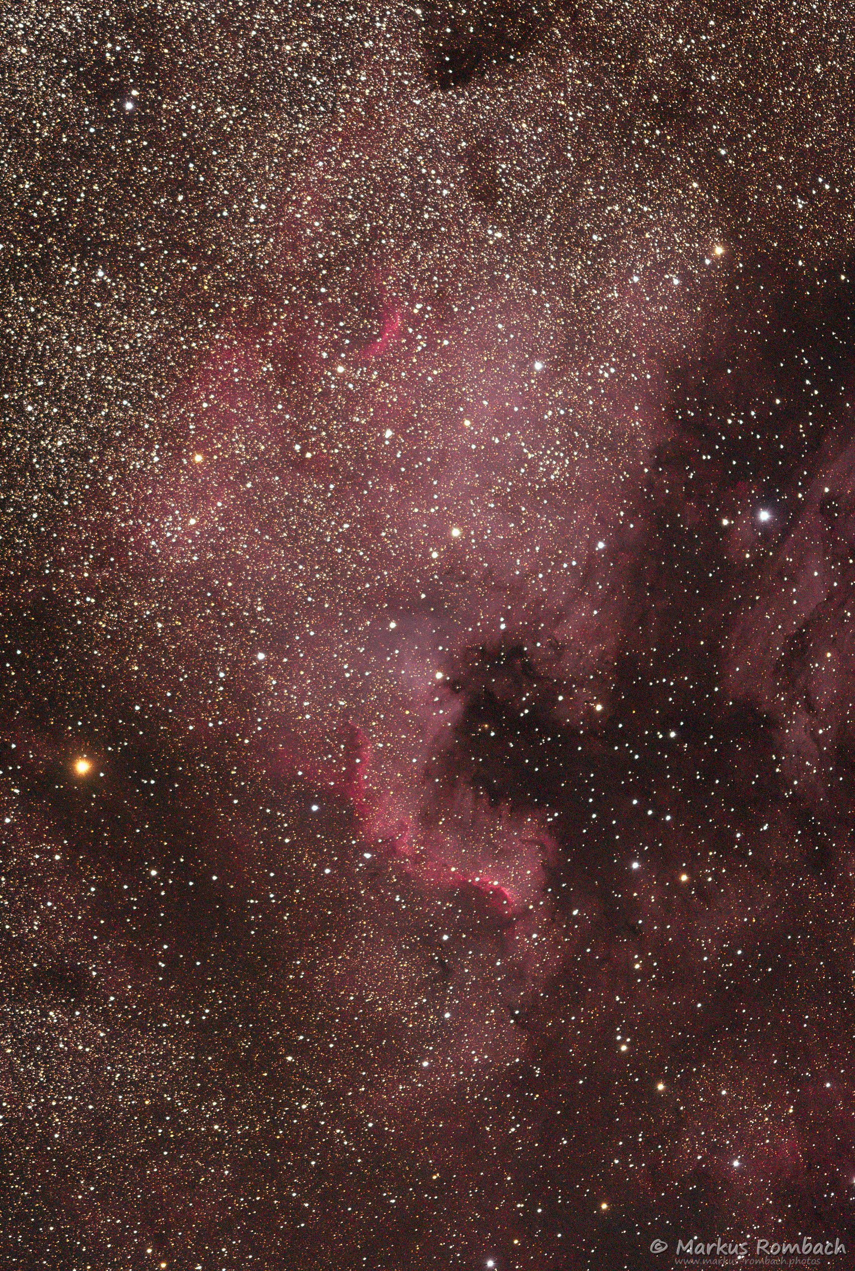 NGC 7000 - Nordamerikanebel
