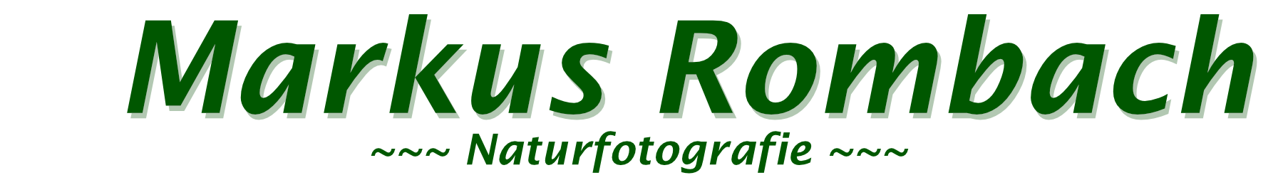 Markus Rombach Naturfotografie